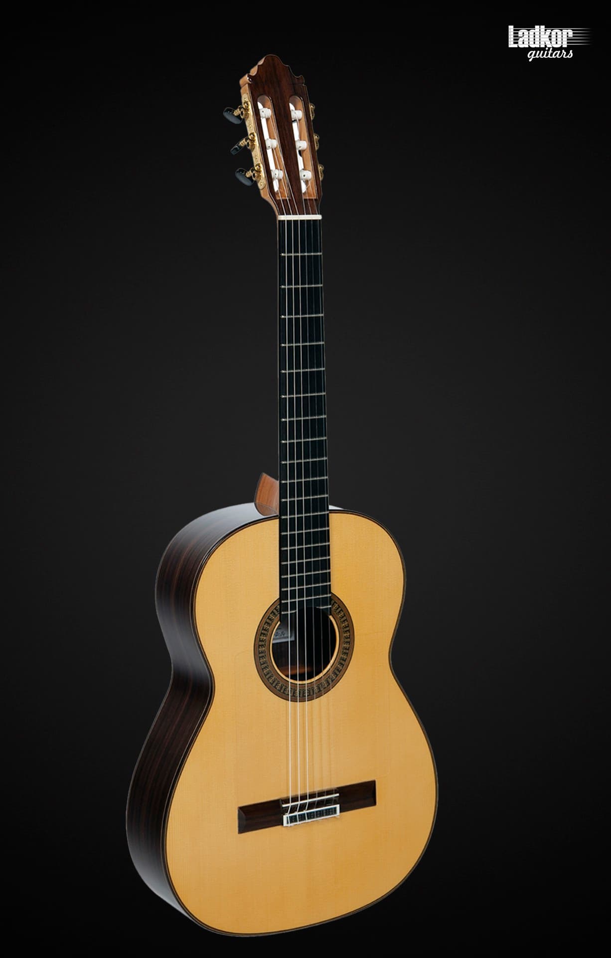 Vicente Carrillo Pasion India Flamenco Concert Special 6 String Guitar