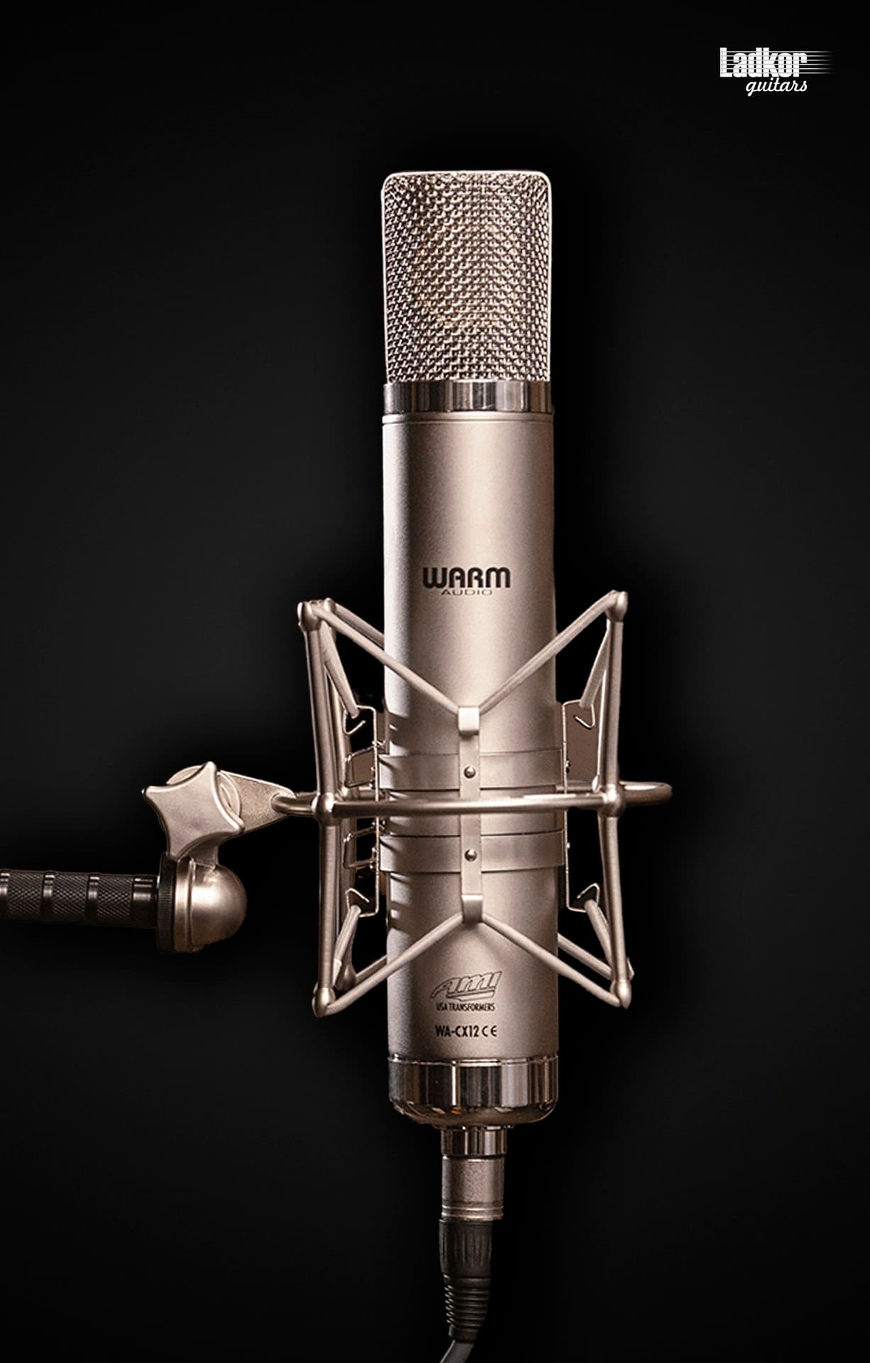 Warm Audio WA-CX12 Tube Condenser Microphone